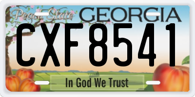 GA license plate CXF8541