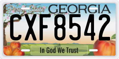 GA license plate CXF8542