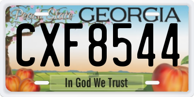 GA license plate CXF8544