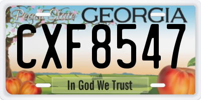 GA license plate CXF8547