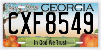 GA license plate CXF8549