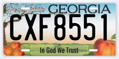 GA license plate CXF8551