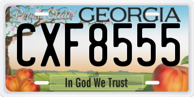 GA license plate CXF8555
