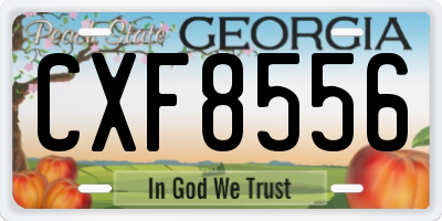 GA license plate CXF8556