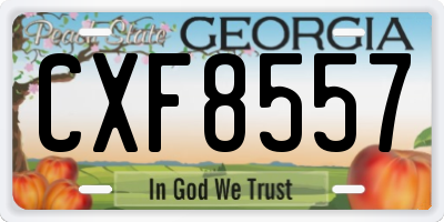 GA license plate CXF8557