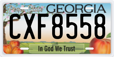 GA license plate CXF8558