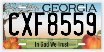 GA license plate CXF8559