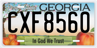 GA license plate CXF8560