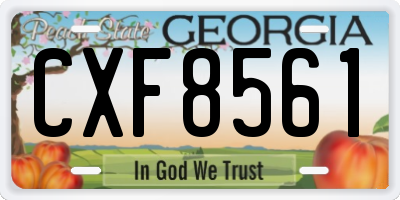 GA license plate CXF8561