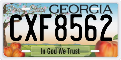 GA license plate CXF8562