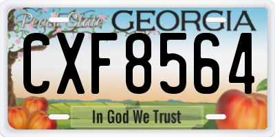 GA license plate CXF8564