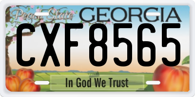 GA license plate CXF8565