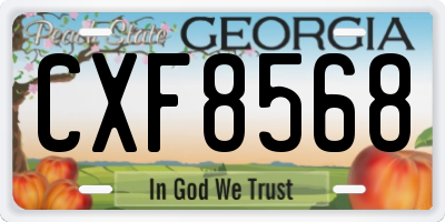 GA license plate CXF8568