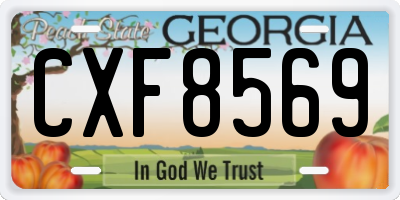 GA license plate CXF8569