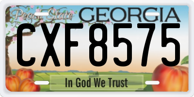 GA license plate CXF8575