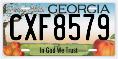GA license plate CXF8579