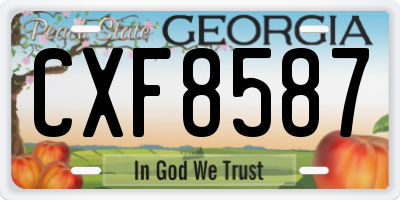 GA license plate CXF8587