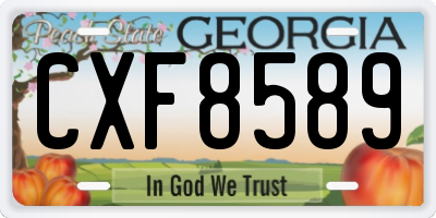GA license plate CXF8589