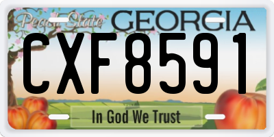GA license plate CXF8591
