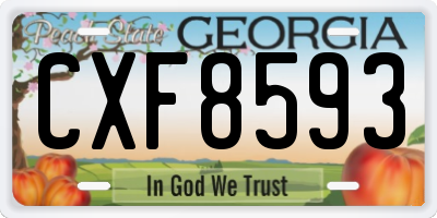 GA license plate CXF8593
