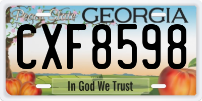 GA license plate CXF8598