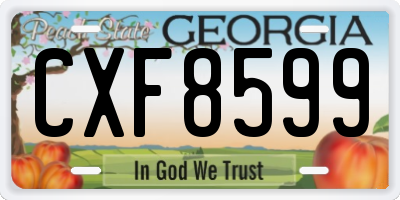 GA license plate CXF8599
