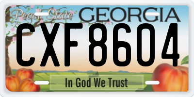 GA license plate CXF8604