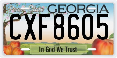 GA license plate CXF8605