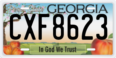 GA license plate CXF8623