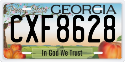 GA license plate CXF8628