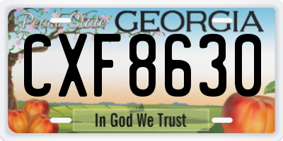 GA license plate CXF8630