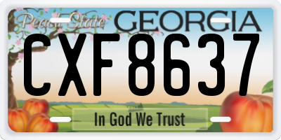 GA license plate CXF8637