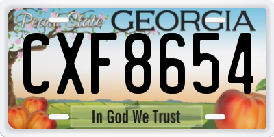 GA license plate CXF8654