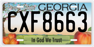 GA license plate CXF8663