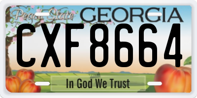 GA license plate CXF8664