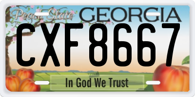 GA license plate CXF8667