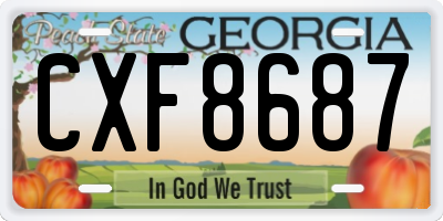 GA license plate CXF8687
