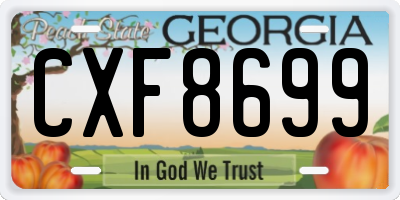 GA license plate CXF8699