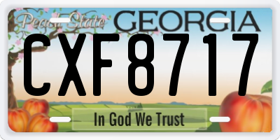 GA license plate CXF8717