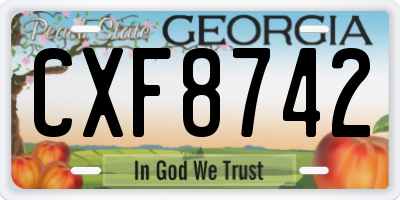 GA license plate CXF8742