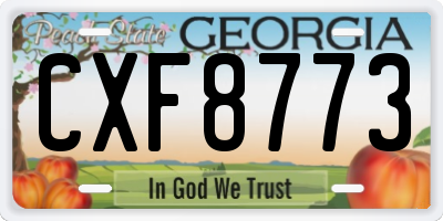 GA license plate CXF8773