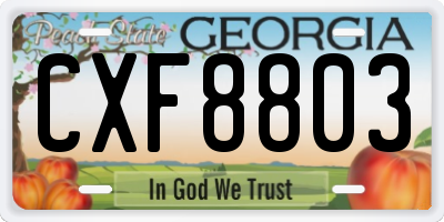GA license plate CXF8803