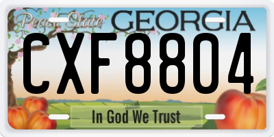 GA license plate CXF8804