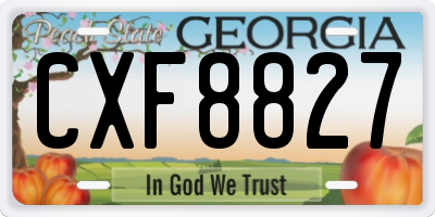GA license plate CXF8827