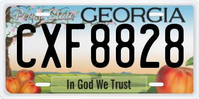 GA license plate CXF8828