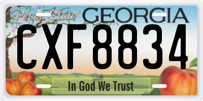 GA license plate CXF8834