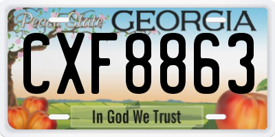 GA license plate CXF8863
