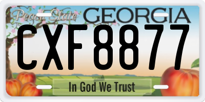 GA license plate CXF8877