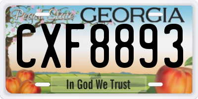 GA license plate CXF8893
