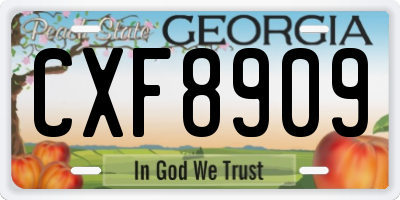 GA license plate CXF8909